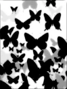 Butterflies Will Never Hurt You