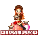 i love pugs