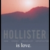 hollister
