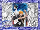 Bleach Anime