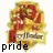 Gryffindor Pride!