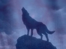 Lone Wolf