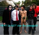 mcr pineapple