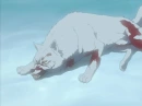 Kiba
