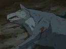 Tsume