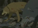 Wolf's Rain