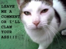leave me a comment or I'll claw your ass!!!