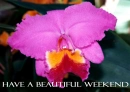 have a beautiful weekend