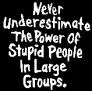 never underestimate stupid people