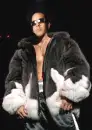 daddy yankee