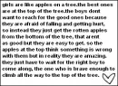 girls are like apples