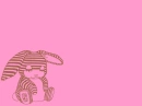 Pink Volcom bunny