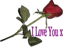 I love you