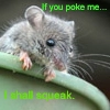 Poke Me