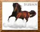 Susan's Stallion in the sky