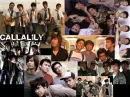 collage for the callalista