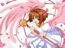sakura is flying!!!!!!!!!