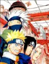 Team 7