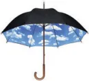 umbrella clouds