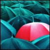 umbrella