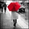 umbrella