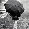 umbrella