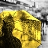 umbrella