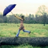 umbrella