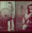 umbrella