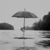umbrella