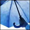 umbrella