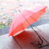 umbrella