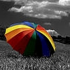 umbrella