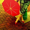 umbrella