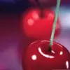 fruit