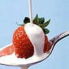 fruit