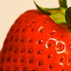 fruit