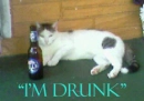 I'm drunk