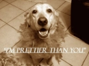 I'm prettier than you