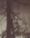 Woods