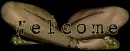 Cigarette Girl Welcome Banner