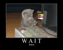 WAIT!