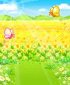 butterflies