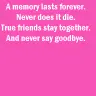 Best Friends