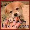 Puppy