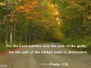 Path of GODLY vs. Path of Wicked