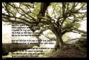 PATH OF GODLY