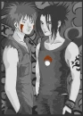 Sasuke and Kiba ( HOTT)