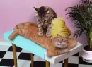 Spa Day