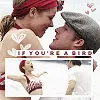 The Notebook